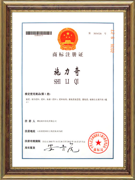 商標(biāo)注冊(cè)證--施力奇